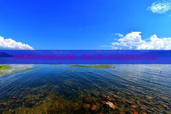 阿勒泰到厦门曾厝垵必去地?旅途太累?试试这些网红打卡地! 阿勒泰到厦门曾厝垵必去地?旅途太累?试试这些网红打卡地!