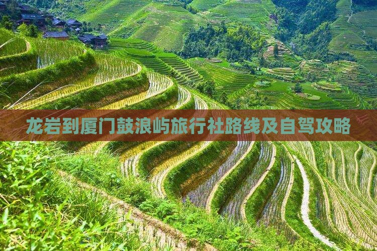龙岩到厦门鼓浪屿旅行社路线及自驾攻略 龙岩到厦门鼓浪屿旅行社路线及自驾攻略