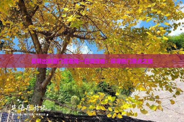 昆明出发厦门曾厝埯一日游攻略：探寻热门景点之旅
