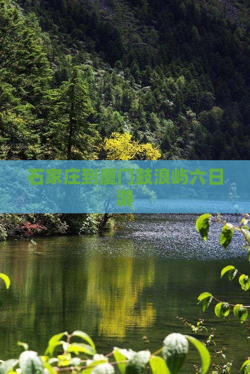 石家庄到厦门鼓浪屿六日游