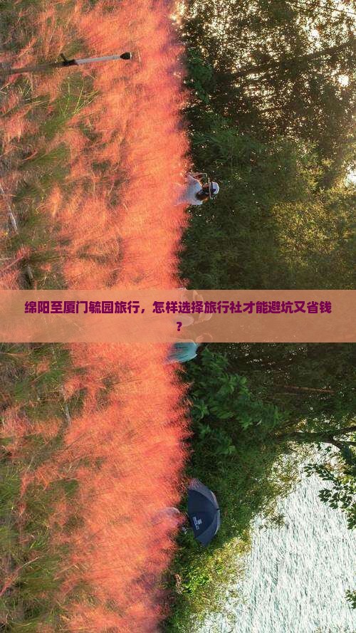 绵阳至厦门毓园旅行，怎样选择旅行社才能避坑又省钱？