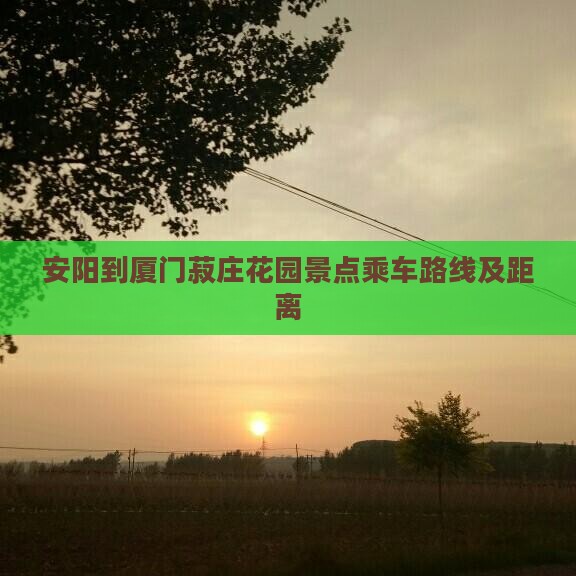 安阳到厦门菽庄花园景点乘车路线及距离