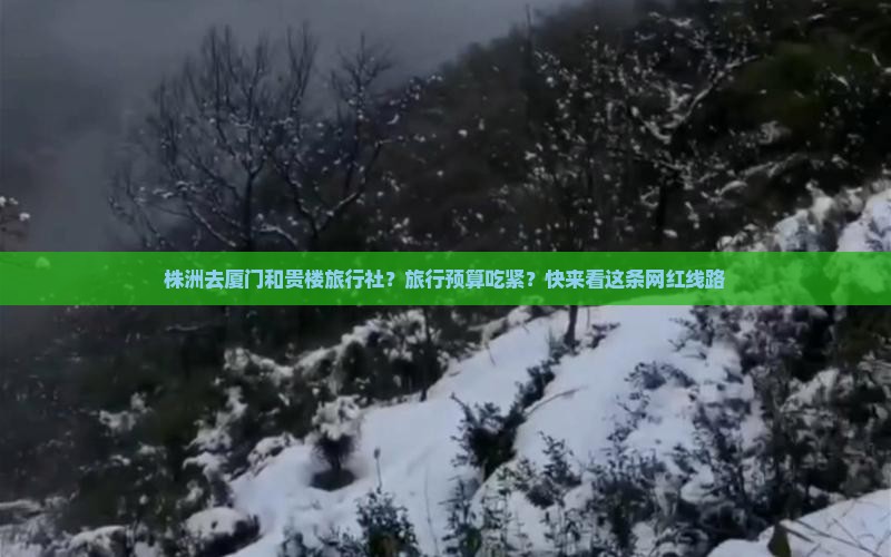 株洲去厦门和贵楼旅行社？旅行预算吃紧？快来看这条网红线路