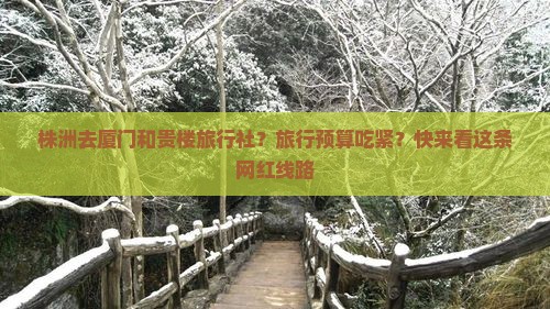 株洲去厦门和贵楼旅行社？旅行预算吃紧？快来看这条网红线路
