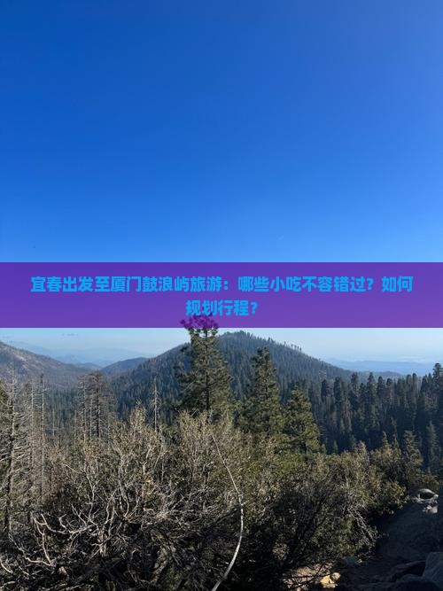 宜春出发至厦门鼓浪屿旅游：哪些小吃不容错过？如何规划行程？