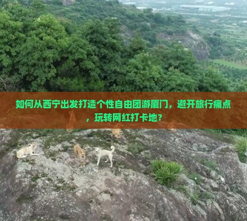 如何从西宁出发打造个性自由团游厦门，避开旅行痛点，玩转网红打卡地？