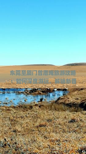东莞至厦门曾厝埯旅游攻略：如何深度游玩，解锁新晋网红打卡地？