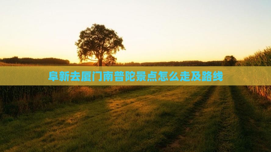 阜新去厦门南普陀景点
