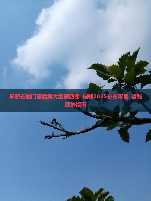 阜新去厦门曾厝埯大型旅游团