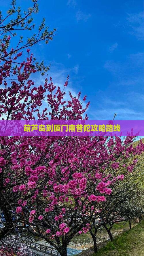 葫芦岛到厦门南普陀攻略