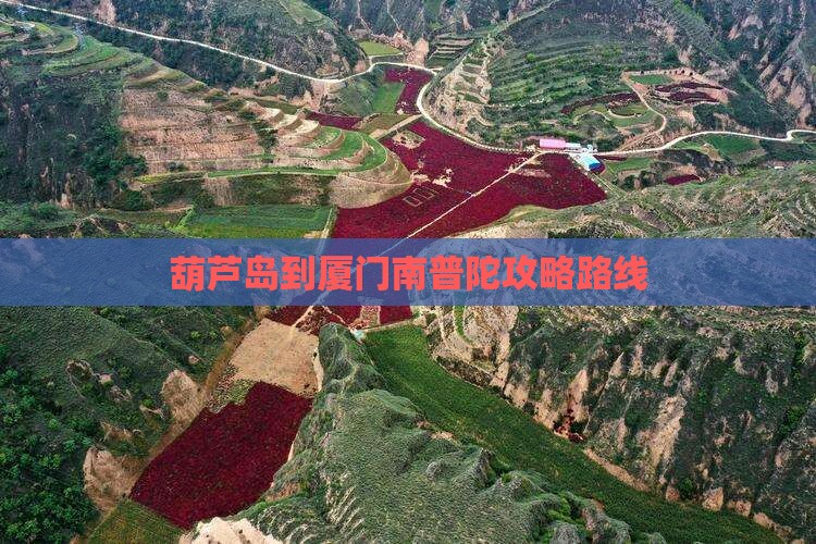 葫芦岛到厦门南普陀攻略