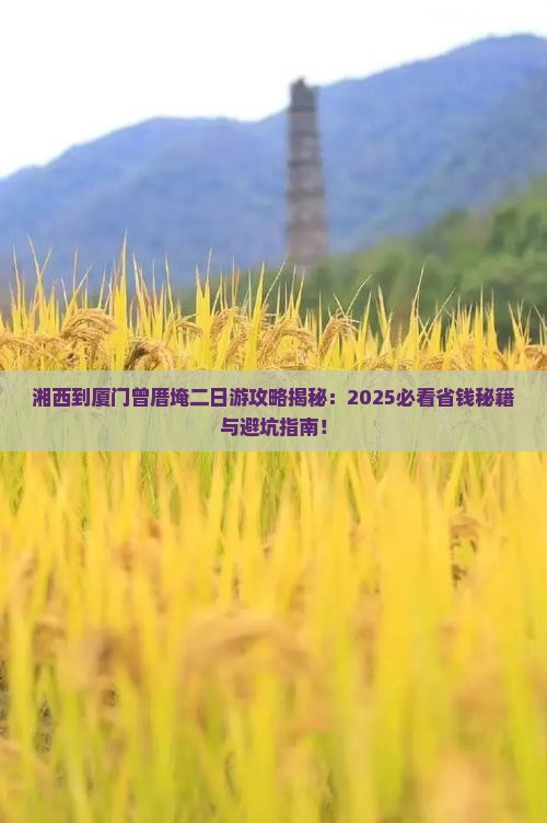 湘西去厦门曾厝埯二日游