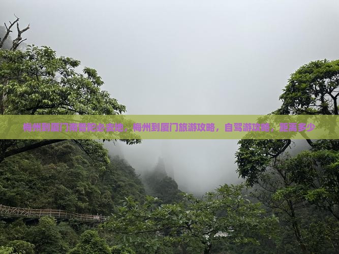梅州到厦门南普陀必去地