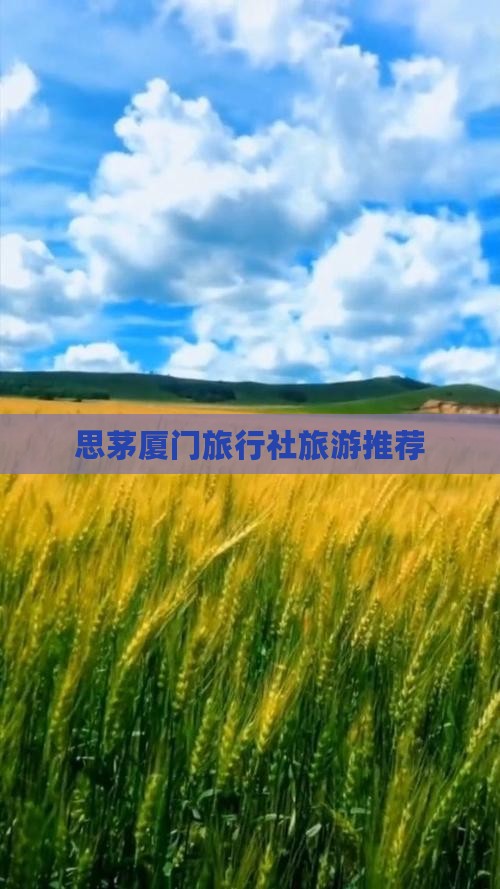 思茅去厦门旅行社