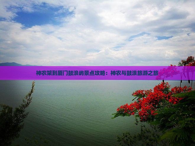 神农架到厦门鼓浪屿景点