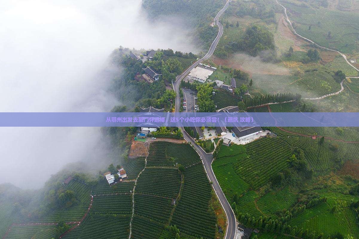 鄂州去厦门怀远楼旅游小吃
