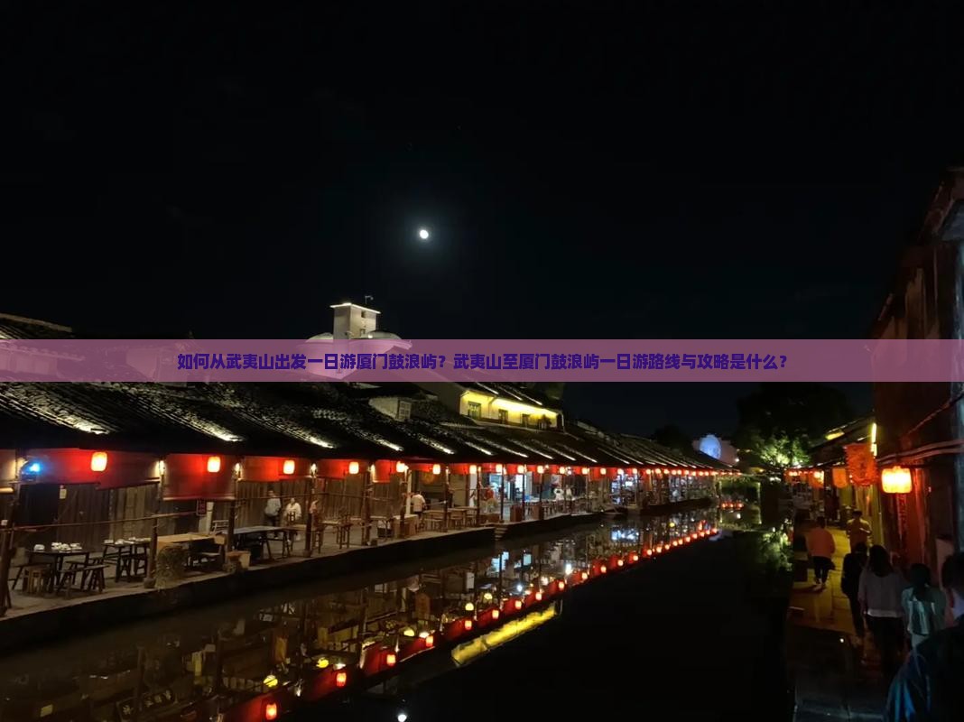 如何从武夷山出发一日游厦门鼓浪屿？武夷山至厦门鼓浪屿一日游路线与攻略是什么？