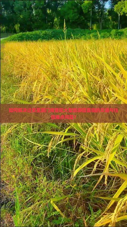 如何解决迁安至厦门南普陀大型旅游团面临的交通与住宿痛点问题？