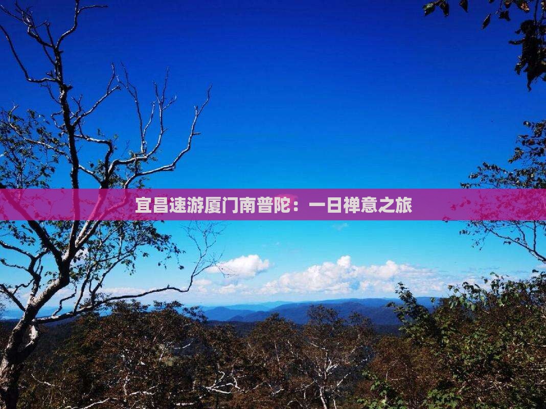 宜昌速游厦门南普陀：一日禅意之旅
