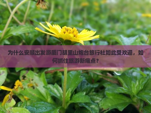 为什么安顺出发游厦门胡里山炮台旅行社如此受欢迎，如何抓住旅游新痛点？