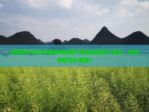 如何在长沙出发高效游览厦门鼓浪屿的热门景点，解决游客排队难题？