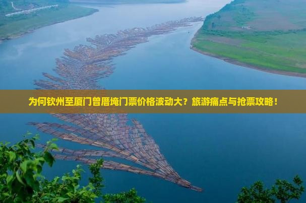 为何钦州至厦门曾厝埯门票价格波动大？旅游痛点与抢票攻略！