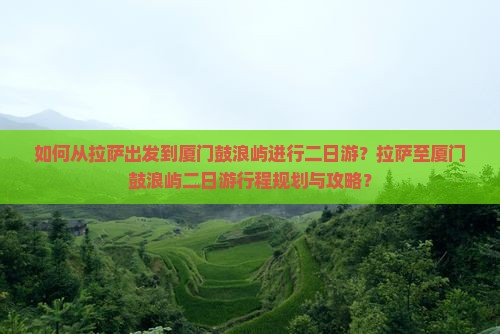 如何从拉萨出发到厦门鼓浪屿进行二日游？拉萨至厦门鼓浪屿二日游行程规划与攻略？