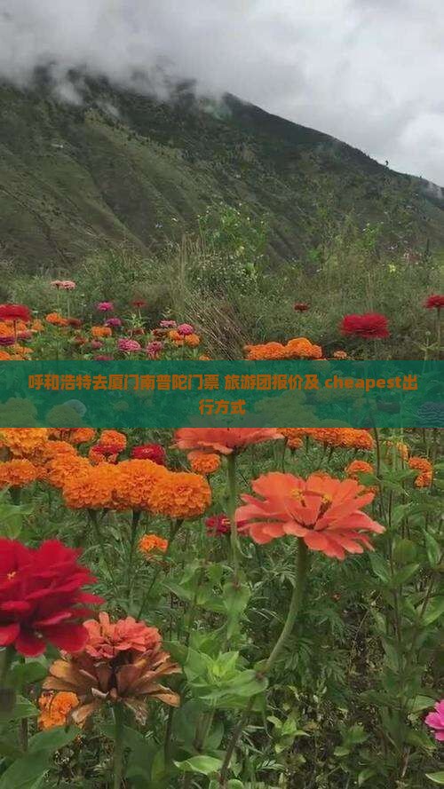 呼和浩特去厦门南普陀门票+旅游团报价及 cheapest出行方式