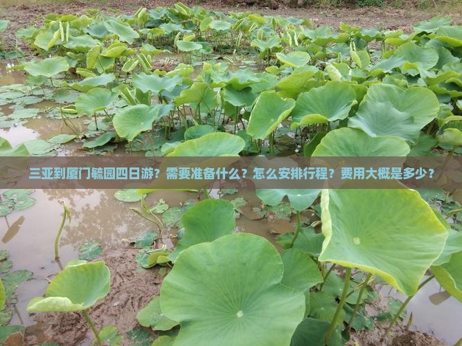 三亚到厦门毓园四日游？需要准备什么？怎么安排行程？费用大概是多少？