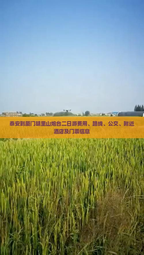 泰安到厦门胡里山炮台二日游费用、路线、公交、附近酒店及门票信息 泰安到厦门胡里山炮台二日游费用、路线、公交、附近酒店及门票信息