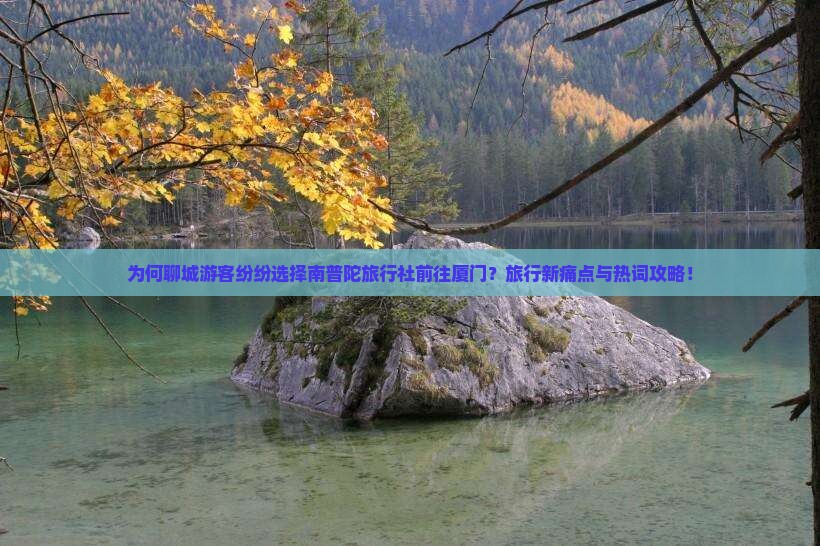 为何聊城游客纷纷选择南普陀旅行社前往厦门?旅行新痛点与热词攻略! 为何聊城游客纷纷选择南普陀旅行社前往厦门?旅行新痛点与热词攻略!