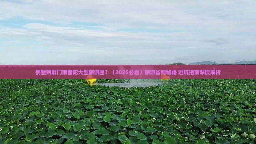 鹤壁到厦门南普陀大型旅游团