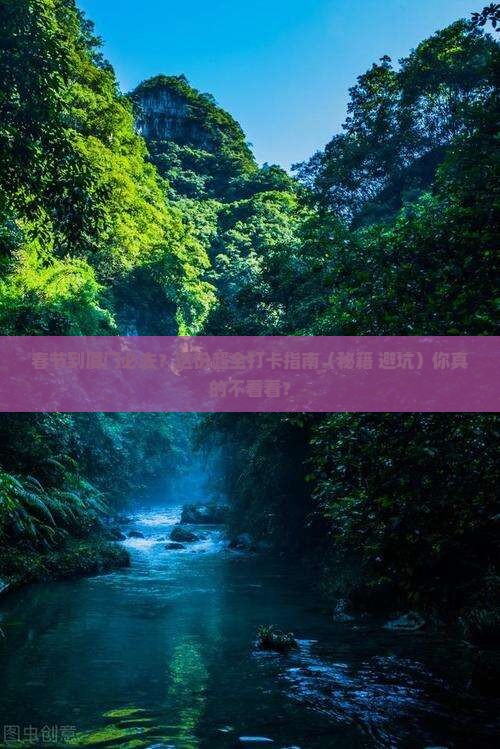 春节到厦门必去地