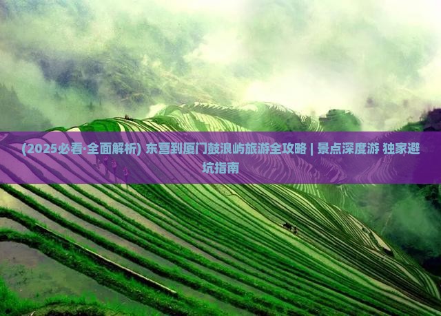 东营到厦门鼓浪屿自由行