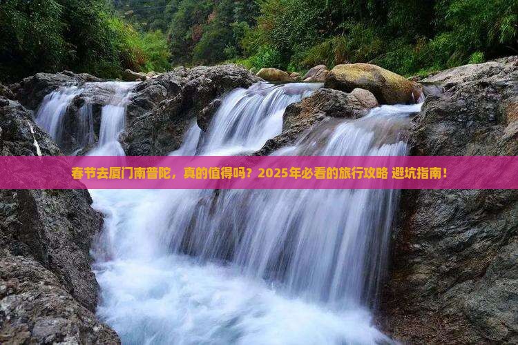春节去厦门南普陀旅行社