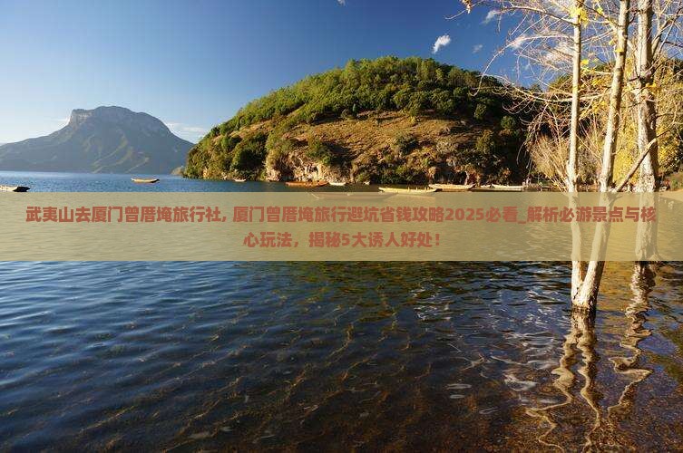 武夷山去厦门曾厝埯旅行社