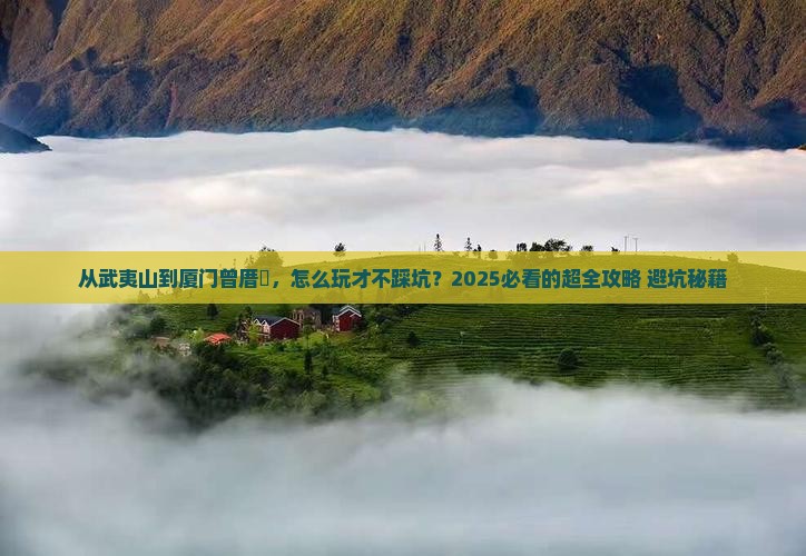 武夷山去厦门曾厝埯哪里玩