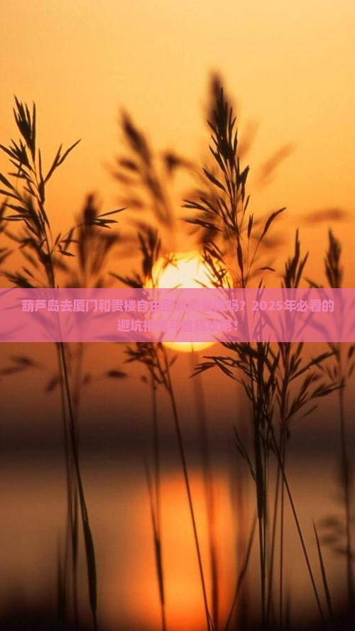 葫芦岛去厦门和贵楼自由团