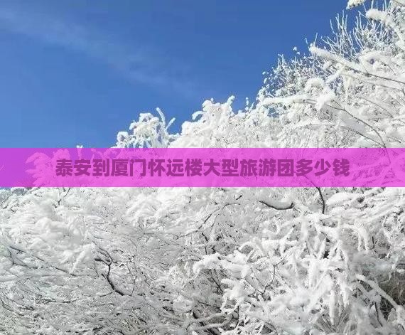 泰安到厦门怀远楼大型旅游团
