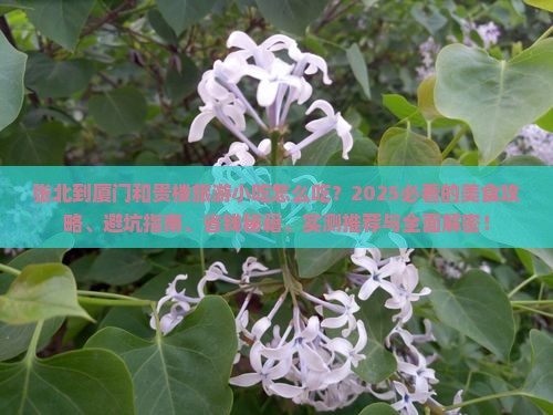 张北到厦门和贵楼旅游小吃