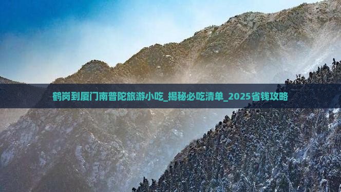 鹤岗到厦门南普陀旅游小吃