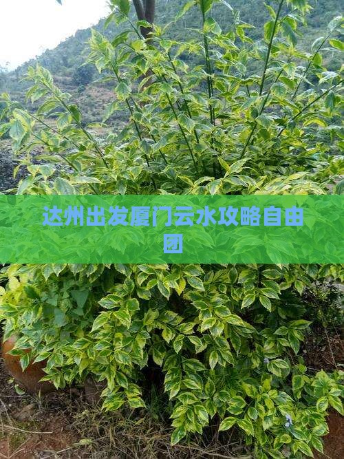 达州去厦门云水谣自由团