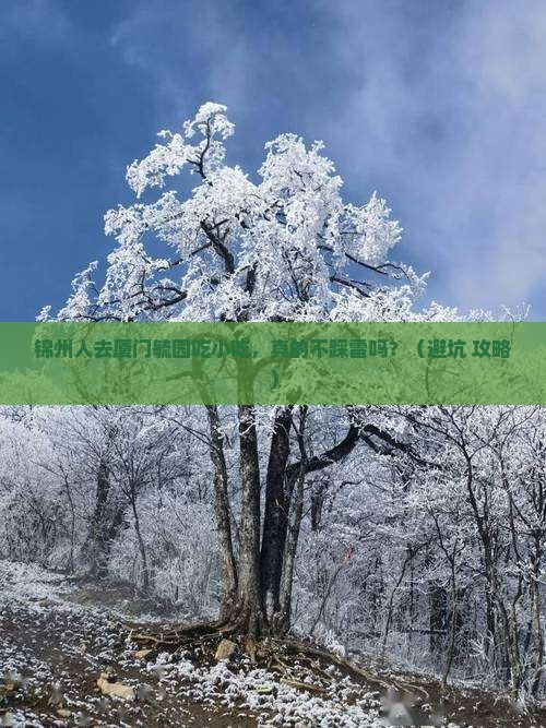 锦州去厦门毓园旅游小吃