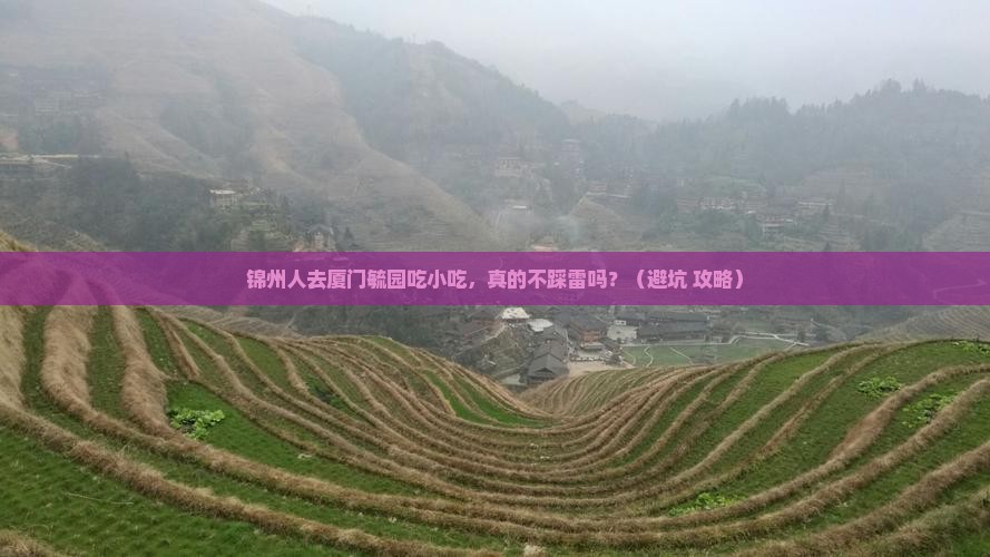 锦州去厦门毓园旅游小吃