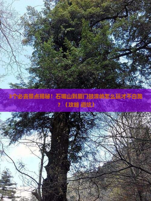 石嘴山到厦门鼓浪屿必去地