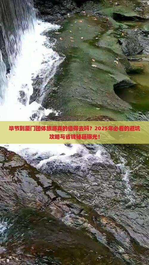 毕节到厦门团体旅游