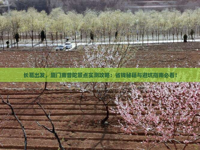 长葛去厦门南普陀景点