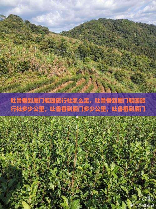 吐鲁番到厦门毓园旅行社