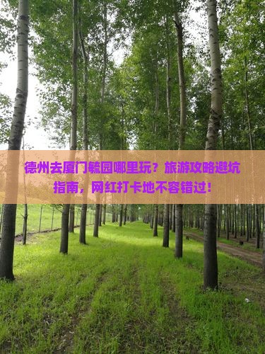 德州去厦门毓园哪里玩