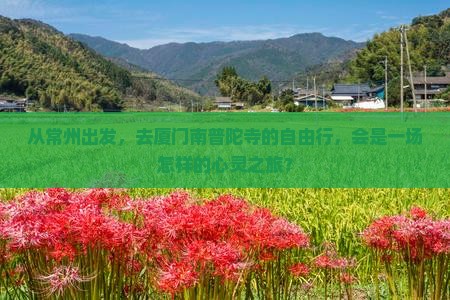 常州去厦门南普陀自由行